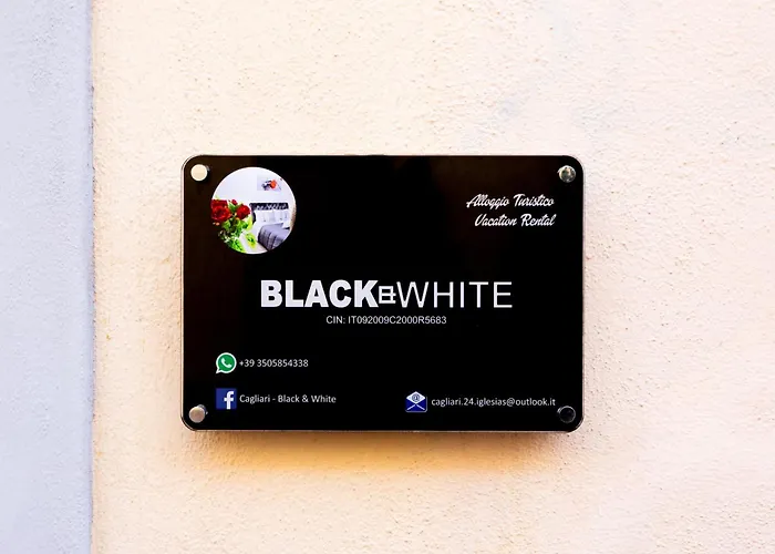 Casa de hóspedes Black & White 4*