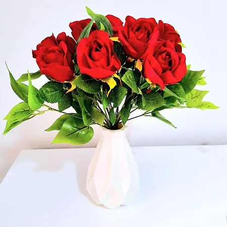 Black & White 4* 칼리아리